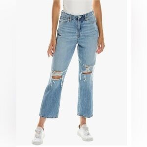 BLANKNYC The Baxter Ribcage Straight Leg Jeans Sz 30 NWT Medium Blue